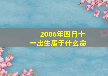 2006年四月十一出生属于什么命