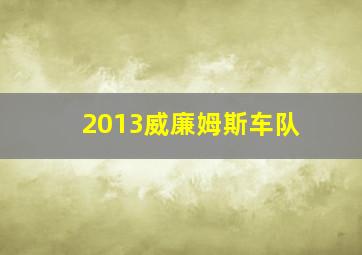 2013威廉姆斯车队