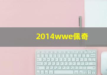 2014wwe佩奇