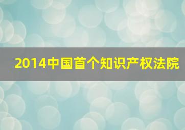 2014中国首个知识产权法院