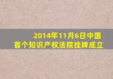 2014年11月6日中国首个知识产权法院挂牌成立