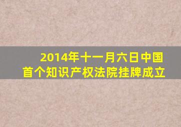 2014年十一月六日中国首个知识产权法院挂牌成立