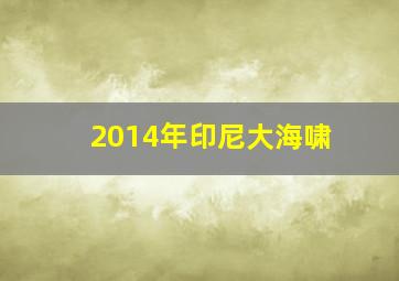 2014年印尼大海啸