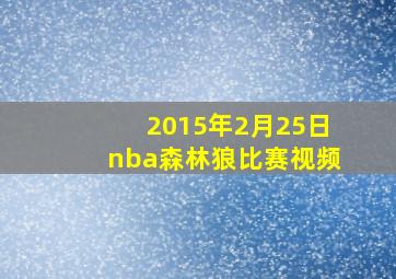 2015年2月25日nba森林狼比赛视频