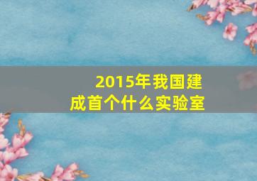 2015年我国建成首个什么实验室