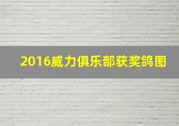 2016威力俱乐部获奖鸽图