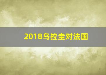 2018乌拉圭对法国