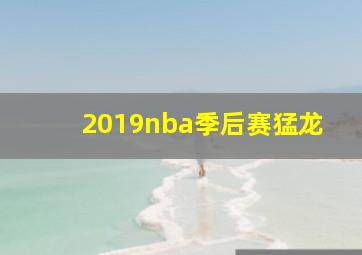 2019nba季后赛猛龙