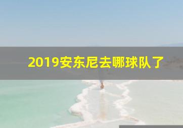 2019安东尼去哪球队了