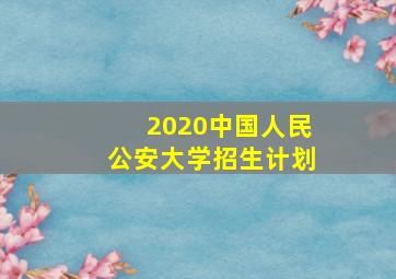 2020中国人民公安大学招生计划