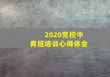 2020党校中青班培训心得体会