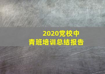 2020党校中青班培训总结报告