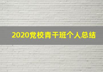 2020党校青干班个人总结