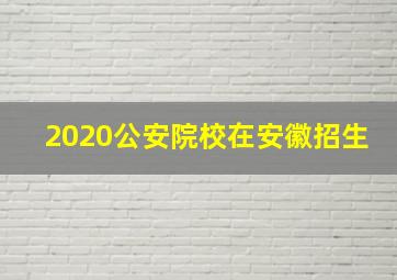 2020公安院校在安徽招生