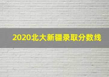 2020北大新疆录取分数线