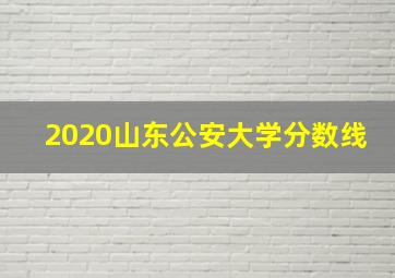 2020山东公安大学分数线