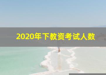 2020年下教资考试人数