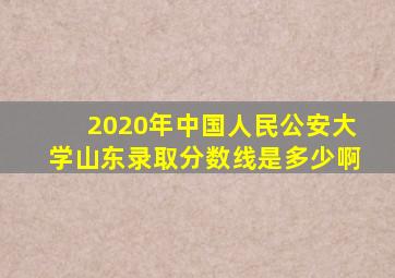 2020年中国人民公安大学山东录取分数线是多少啊