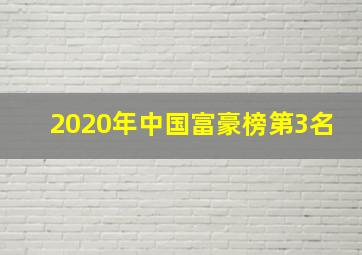 2020年中国富豪榜第3名