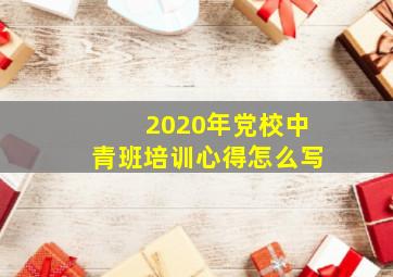 2020年党校中青班培训心得怎么写