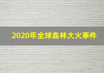 2020年全球森林大火事件