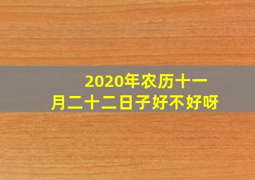 2020年农历十一月二十二日子好不好呀