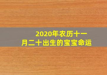 2020年农历十一月二十出生的宝宝命运