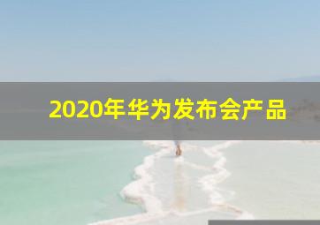 2020年华为发布会产品