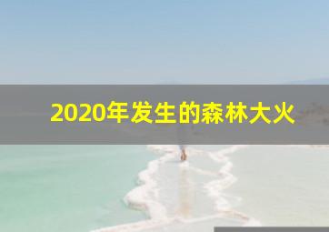 2020年发生的森林大火