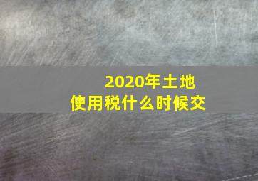 2020年土地使用税什么时候交