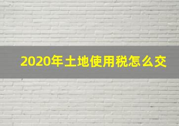 2020年土地使用税怎么交