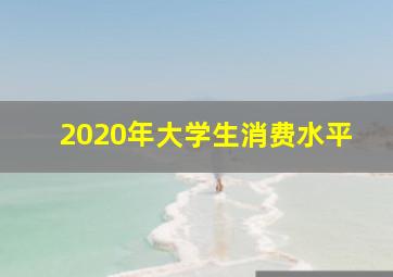 2020年大学生消费水平