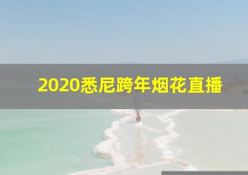 2020悉尼跨年烟花直播