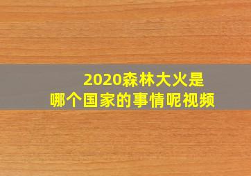 2020森林大火是哪个国家的事情呢视频