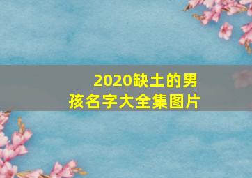 2020缺土的男孩名字大全集图片