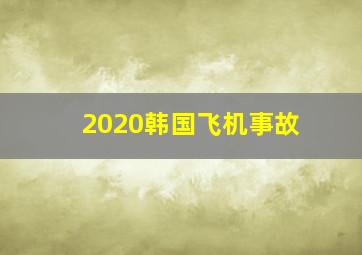 2020韩国飞机事故