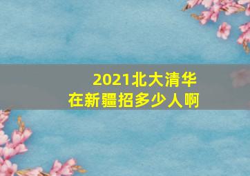 2021北大清华在新疆招多少人啊