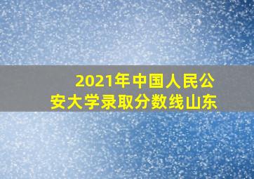 2021年中国人民公安大学录取分数线山东