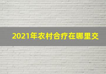 2021年农村合疗在哪里交