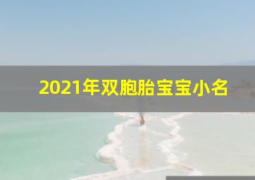 2021年双胞胎宝宝小名