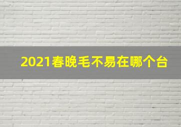 2021春晚毛不易在哪个台