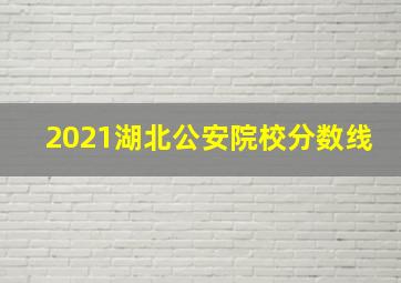 2021湖北公安院校分数线