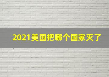 2021美国把哪个国家灭了