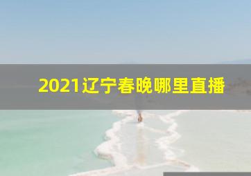 2021辽宁春晚哪里直播