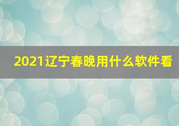 2021辽宁春晚用什么软件看