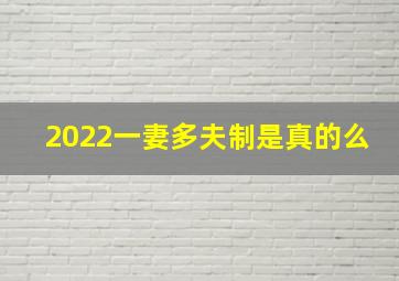 2022一妻多夫制是真的么