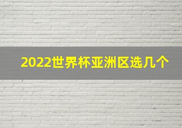 2022世界杯亚洲区选几个