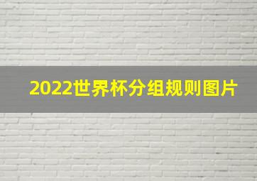 2022世界杯分组规则图片