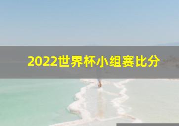 2022世界杯小组赛比分