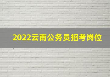 2022云南公务员招考岗位